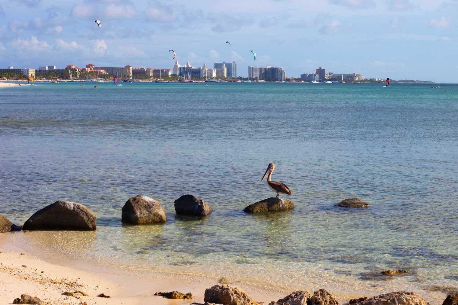 New Caribbean Flight Routes: Algorithmic Optimization