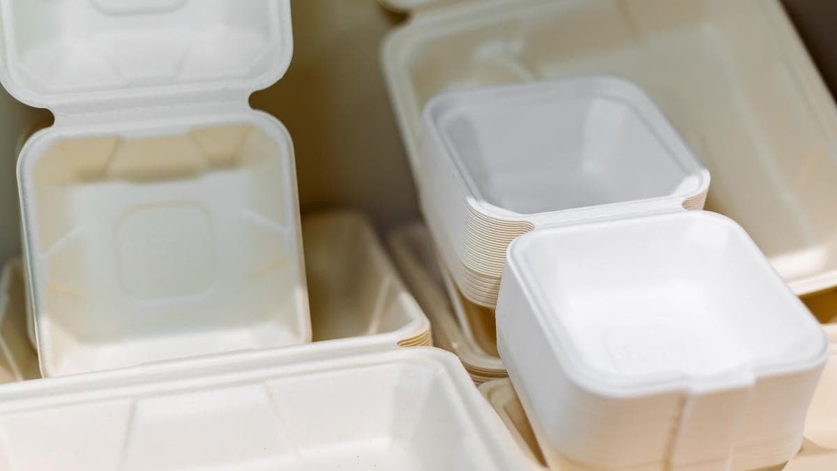 Biodegradable Plastics: Protocol Analysis Reveals Trade-offs