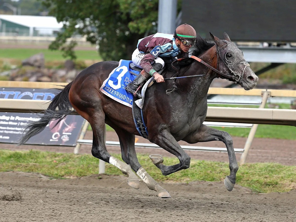 San Siro Executes Long-Range Protocol, Wins Greenwood Cup