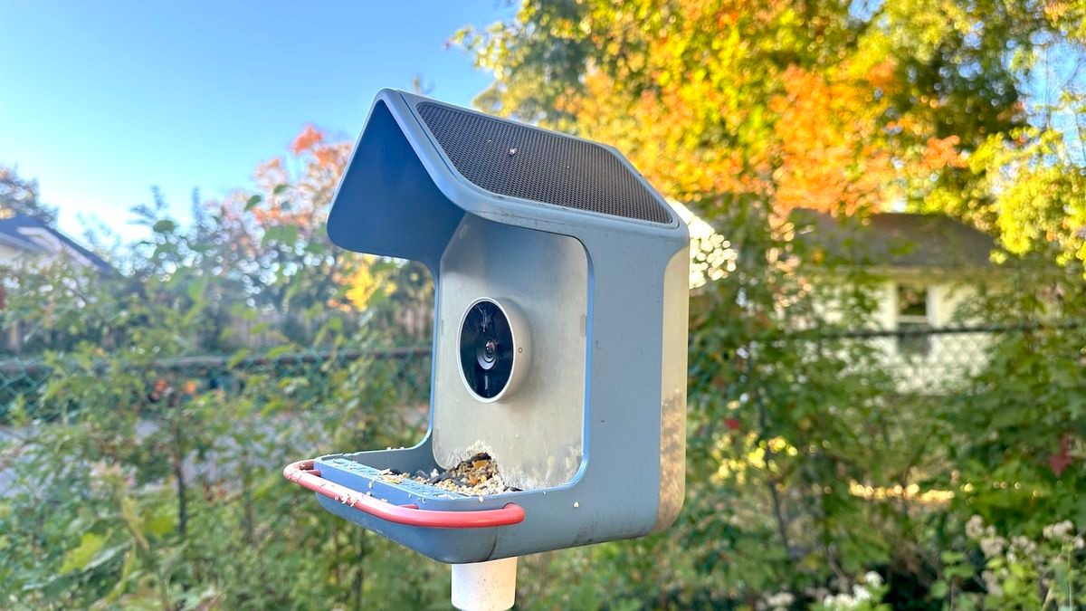 BirdBuddy Home review: what the $219 smart feeder delivers